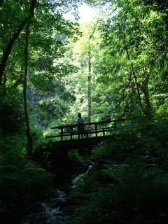 Photo /users/aendr/cheshirecat/1000