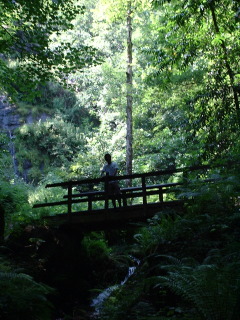 Photo /users/aendr/cheshirecat/1001