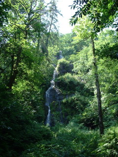 Photo /users/aendr/cheshirecat/1002