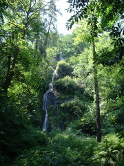 Photo /users/aendr/cheshirecat/1003