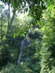 Photo /users/aendr/cheshirecat/1004