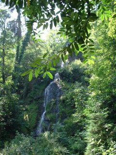 Photo /users/aendr/cheshirecat/1004