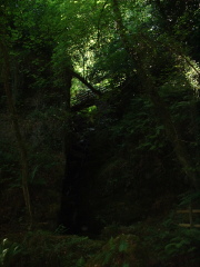 Photo /users/aendr/cheshirecat/1006