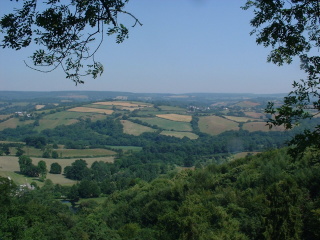 Photo /users/aendr/cheshirecat/1011