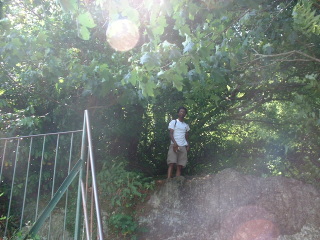 Photo /users/aendr/cheshirecat/1012