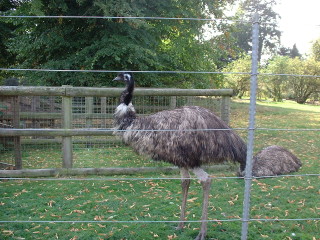 Photo /users/aendr/cheshirecat/1023