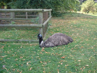 Photo /users/aendr/cheshirecat/1024