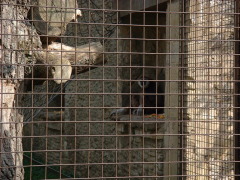 Photo /users/aendr/cheshirecat/1027