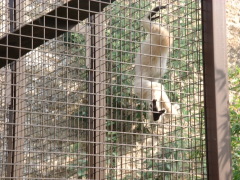 Photo /users/aendr/cheshirecat/1028