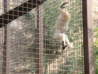 Photo /users/aendr/cheshirecat/1028