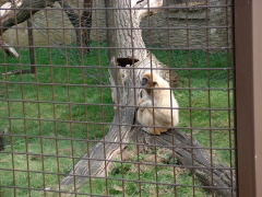 Photo /users/aendr/cheshirecat/1031