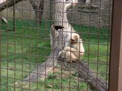 Photo /users/aendr/cheshirecat/1032