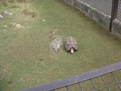 Photo /users/aendr/cheshirecat/1035