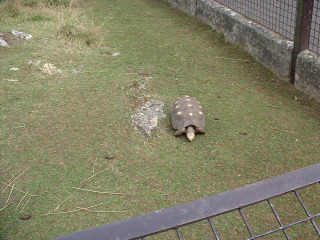 Photo /users/aendr/cheshirecat/1035