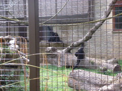 Photo /users/aendr/cheshirecat/1037