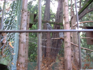 Photo /users/aendr/cheshirecat/1040