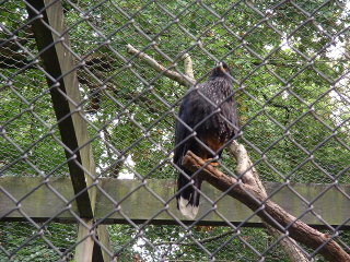 Photo /users/aendr/cheshirecat/1043