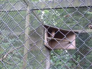 Photo /users/aendr/cheshirecat/1044