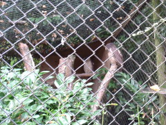 Photo /users/aendr/cheshirecat/1045