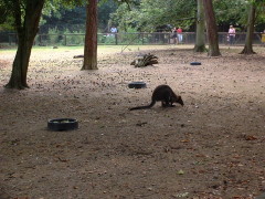 Photo /users/aendr/cheshirecat/1048