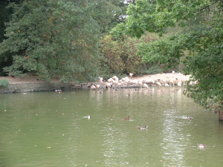 Photo /users/aendr/cheshirecat/1054