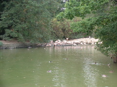 Photo /users/aendr/cheshirecat/1055