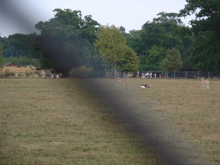 Photo /users/aendr/cheshirecat/1057