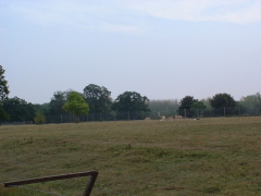 Photo /users/aendr/cheshirecat/1058