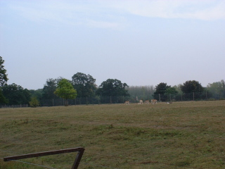 Photo /users/aendr/cheshirecat/1058