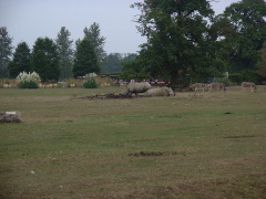 Photo /users/aendr/cheshirecat/1061