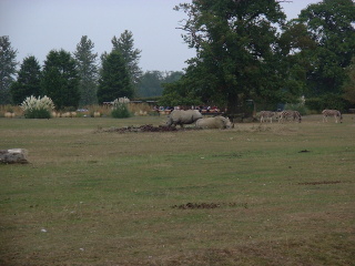 Photo /users/aendr/cheshirecat/1061