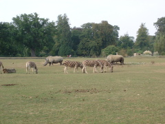 Photo /users/aendr/cheshirecat/1063