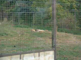 Photo /users/aendr/cheshirecat/1069