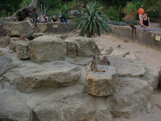 Photo /users/aendr/cheshirecat/1075