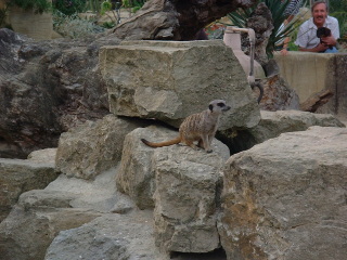 Photo /users/aendr/cheshirecat/1076