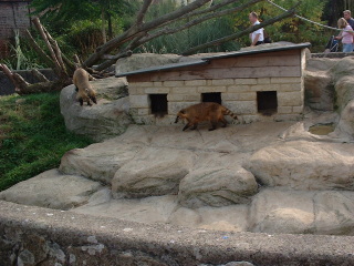 Photo /users/aendr/cheshirecat/1084