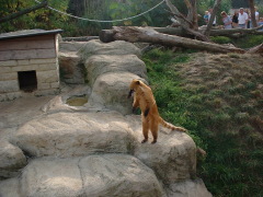 Photo /users/aendr/cheshirecat/1085