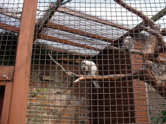 Photo /users/aendr/cheshirecat/1086