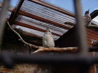 Photo /users/aendr/cheshirecat/1087