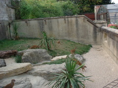 Photo /users/aendr/cheshirecat/1088