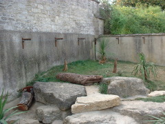 Photo /users/aendr/cheshirecat/1089