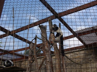 Photo /users/aendr/cheshirecat/1091