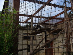 Photo /users/aendr/cheshirecat/1092