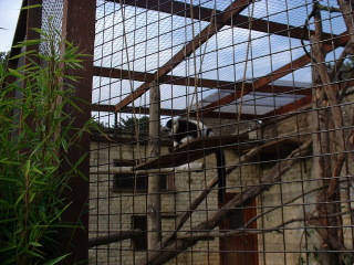 Photo /users/aendr/cheshirecat/1092