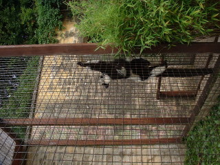 Photo /users/aendr/cheshirecat/1093