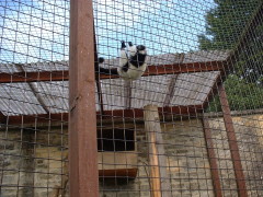 Photo /users/aendr/cheshirecat/1094