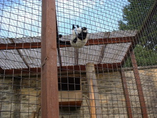 Photo /users/aendr/cheshirecat/1094