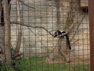 Photo /users/aendr/cheshirecat/1095