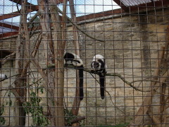 Photo /users/aendr/cheshirecat/1098