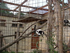 Photo /users/aendr/cheshirecat/1099